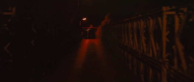 Video Reference: bridge, night