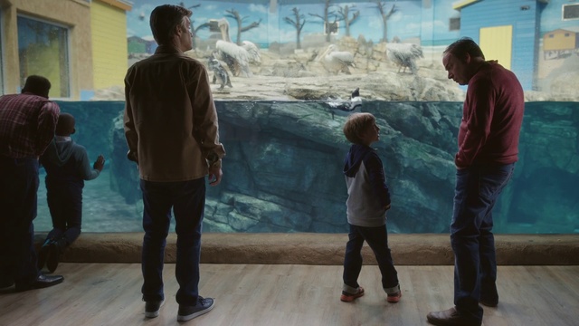 Video Reference: Tourist attraction, Leisure, Art, Organism, Fun, Adaptation, Visual arts, Tourism, Aquarium, Vacation