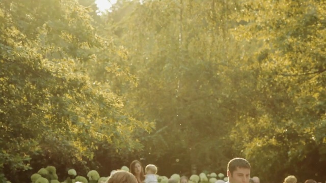 Video Reference: nature, yellow, photograph, tree, ecosystem, vegetation, leaf, woodland, sunlight, branch