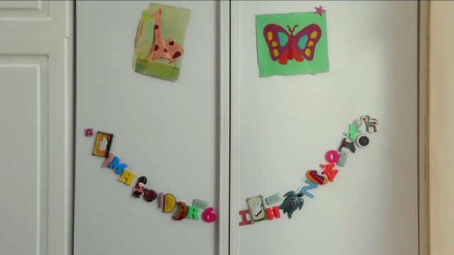 Video Reference: shelf, art, Person