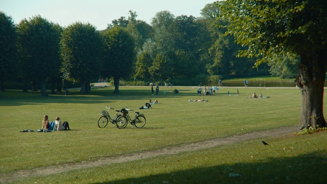 Video Reference: Grass, Lawn, Grassland, Vehicle, Park, Bicycle, Meadow, Tree, Recreation, Pasture, Person, Outdoor, Field, Bench, Parked, People, Grassy, Kite, Man, Lush, Large, Group, Green, Standing, Walking, Street, Dog, Game, Motorcycle, Riding, Flying, Laying, Sky, Sports equipment, Bicycle wheel, Land vehicle