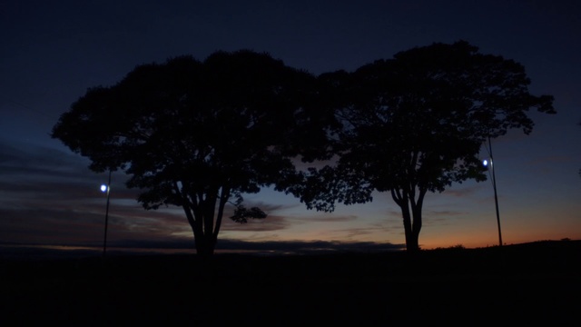 Video Reference: Sky, Nature, Tree, Night, Atmospheric phenomenon, Dusk, Natural landscape, Darkness, Cloud, Horizon, Person