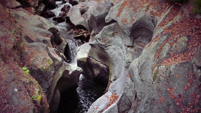 Video Reference: Rock, Formation, Water, Narrows, Watercourse, Geology, Canyon, Stream, Tree, Outcrop