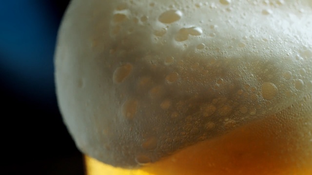 Video Reference: Macro photography