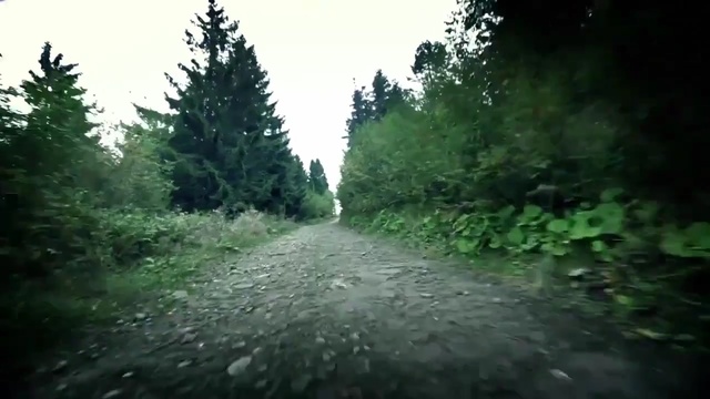 Video Reference: Nature, Atmospheric phenomenon, Natural environment, Tree, Forest, Green, Wilderness, Vegetation, Road, Biome