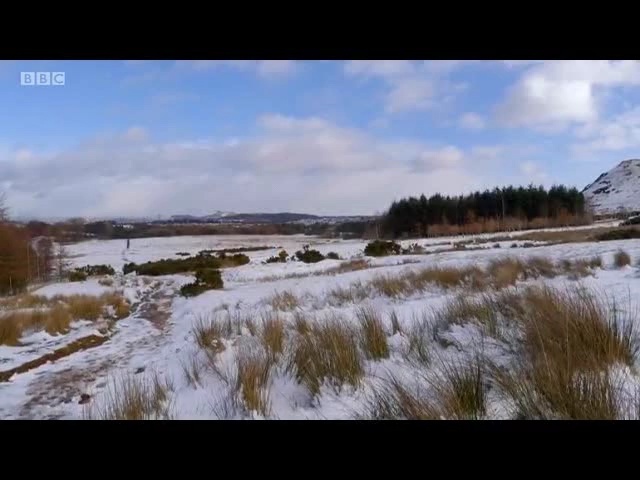 Video Reference: sky, ecosystem, wilderness, snow, winter, loch, wetland, reflection, river, tundra