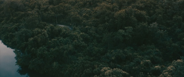 Video Reference: Green, Vegetation, Nature, Underwater, Natural environment, Forest, Biome, Rainforest, Organism, Jungle
