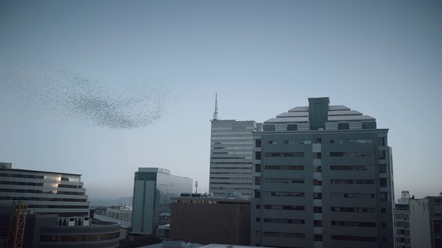 Video Reference: Sky, Urban area, City, Tower block, Metropolitan area, Daytime, Skyscraper, Human settlement, Metropolis, Architecture