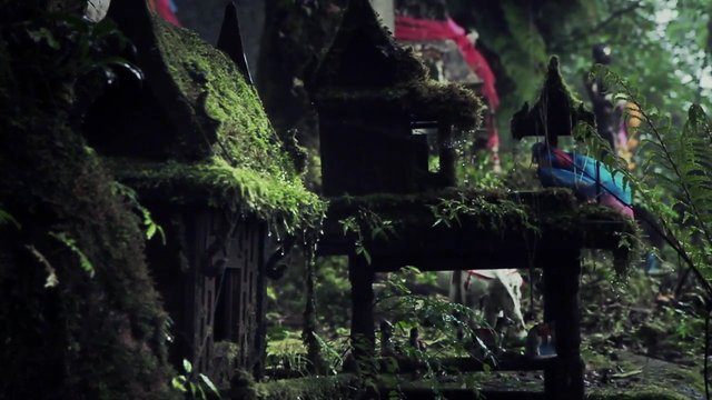 Video Reference: forest, shrine, temple, moss, foliage, nature, outdoor, religious, stone, greenery, overgrown, dark, wildlife, tranquil, traditional, rustic