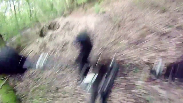 Video Reference: Trail, Nature reserve, Woodland, Plant community, Grass family, Grass, Tree, Wildlife, Shrubland, Plant