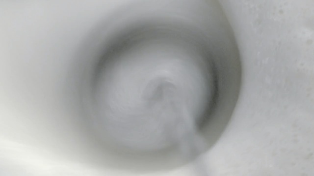 Video Reference: Ear, Monochrome