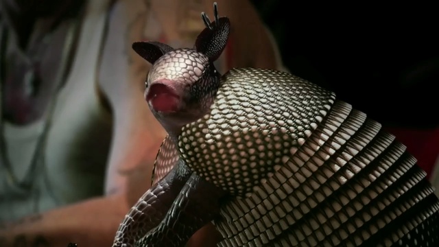 Video Reference: armadillo, ironclad