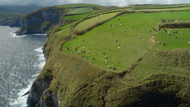 Video Reference: nature reserve, promontory, coast, terrain, cliff, highland, grass, aerial photography, escarpment, hill station