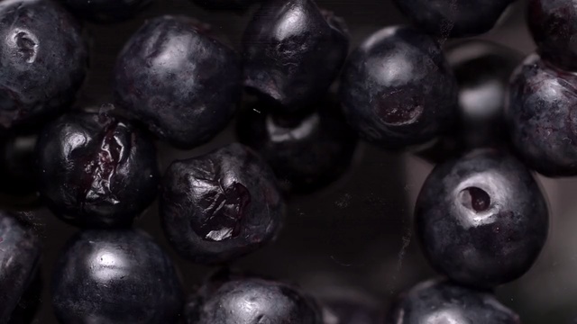 Video Reference: Fruit, Bilberry, Berry, Superfood, Jamun, Blueberry, Plant, Food, Huckleberry, Damson