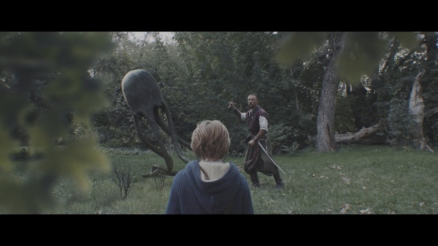Video Reference: Natural environment, Screenshot, Tree, Movie, Forest, Woodland, Digital compositing, Photography, Organism, Grass, Outdoor, Person, Man, Field, Standing, Photo, Woman, Young, Looking, Front, Boy, Playing, Walking, Holding, Game, Dog, Flying, Shirt, Green, Grassy, Kite, Frisbee, People, White, Riding, Text, Fantasy, Cartoon, Mammal, Clothing