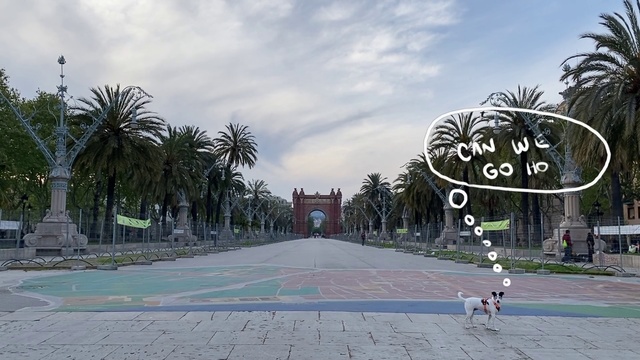 Video Reference: Tree, Sky, Palm tree, Architecture, Arecales, Residential area, Vacation, Road, Tourism, City