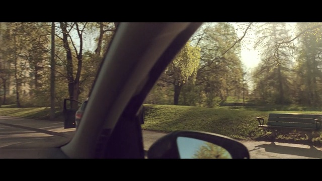 Video Reference: nature, tree, woody plant, car, path, plant, sunlight, morning, photography, sky
