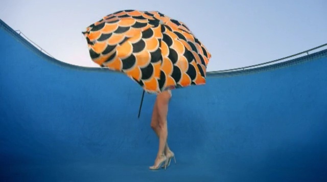 Video Reference: Orange, Organism, Jellyfish, Wildlife, Person
