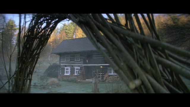 Video Reference: Nature, Tree, House, Biome, Snapshot, Log cabin, Pc game, Architecture, Grass, Plant