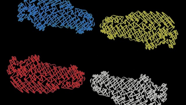 Video Reference: text, font, organism, pattern, design, tree, world, graphics, computer wallpaper, graphic design