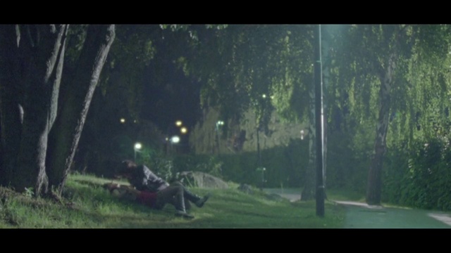 Video Reference: Nature, Woodland, Green, Forest, Tree, Natural environment, Atmospheric phenomenon, Light, Sunlight, Biome