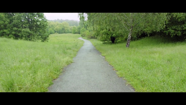 Video Reference: Nature, Green, Trail, Natural environment, Vegetation, Grass, Land lot, Tree, Nature reserve, Pasture