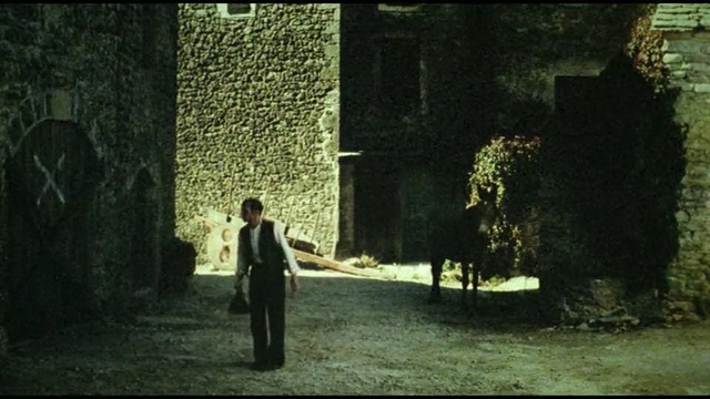 Video Reference: tree, darkness, grass, screenshot, midnight, scene, Person