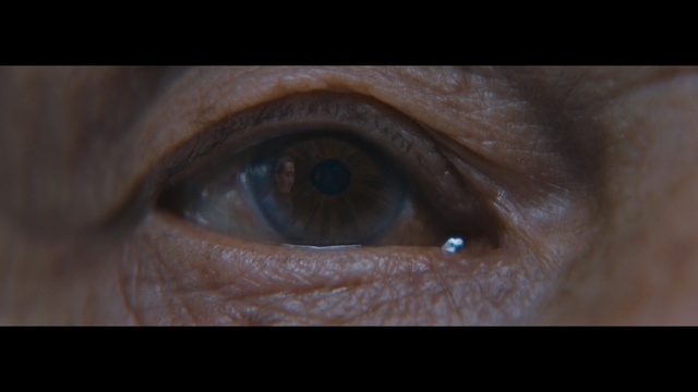 Video Reference: Iris, Eye, Face, Skin, Close-up, Eyebrow, Eyelash, Organ, Brown, Wrinkle, Indoor, Looking, Sitting, Orange, Small, Made, Cat, Dark, White, Black, Food, Large, Red, Laying, Eyes