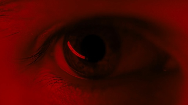 Video Reference: Red, Black, Eye, Iris, Organ, Close-up, Orange, Eyelash, Macro photography, Human body
