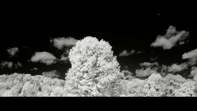 Video Reference: sky, cloud, white, black, nature, black and white, photograph, monochrome photography, atmosphere, daytime