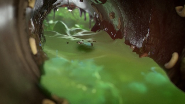 Video Reference: green, water, close up, leaf, mouth, macro photography, organism