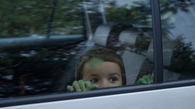 Video Reference: Tree, Auto part, Glass, Vehicle door, Automotive exterior, Rear-view mirror, Automotive window part, Windshield, Automotive mirror