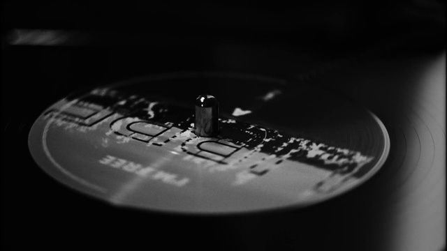 Video Reference: Black, White, Black-and-white, Macro photography, Monochrome photography, Photography, Close-up, Font, Monochrome, Stock photography