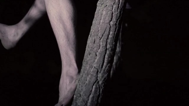 Video Reference: black, black and white, darkness, arm, close up, joint, human, hand, organism, monochrome, Person