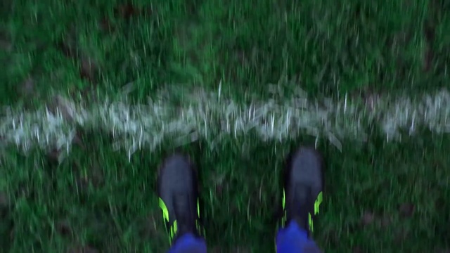 Video Reference: Green, Grass, Nature, Lawn, Grass, Meadow, Grassland, Plant, Leaf, Footwear