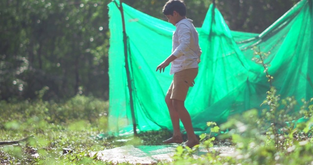 Video Reference: Green, People in nature, Leaf, Water, Jungle, Tree, Adaptation, Grass, Forest, Organism