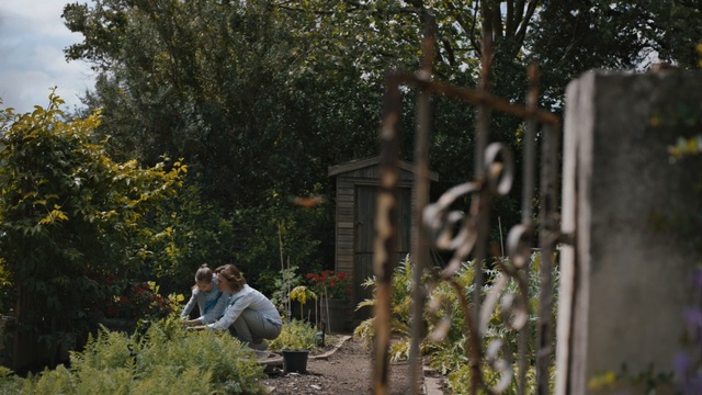 Video Reference: Tree, Branch, Plant, Sitting, House, Autumn, Forest, Person