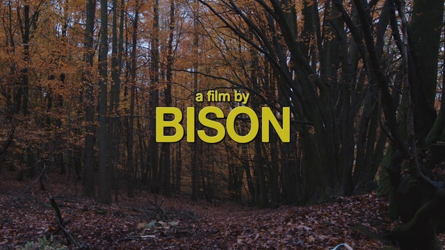 Video Reference: Nature, Tree, Natural environment, Forest, Woodland, Natural landscape, Nature reserve, Text, Biome, Leaf