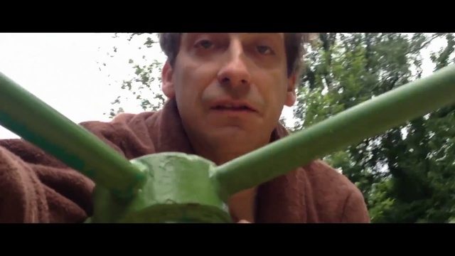 Video Reference: Leaf, Plant, Plant stem