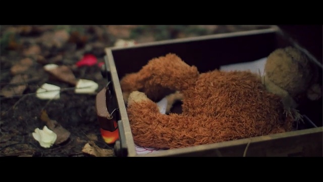 Video Reference: toy, closeup, autumn 