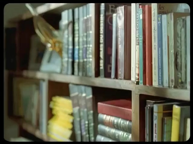 Video Reference: shelving, library, bookcase, bookselling, shelf, public library, furniture, inventory, home, book