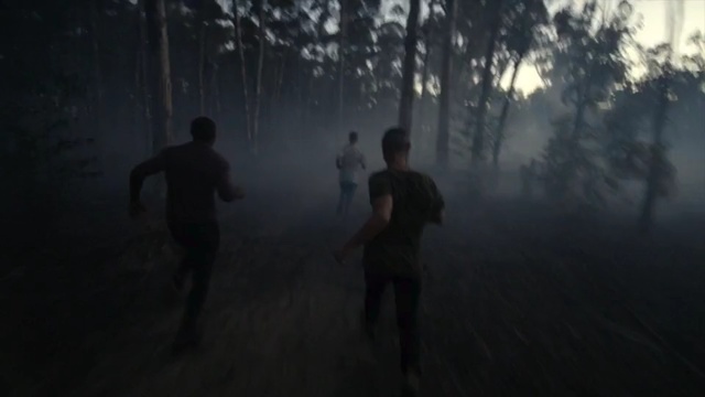 Video Reference: Atmospheric phenomenon, Black, Mist, Natural environment, Darkness, Atmosphere, Morning, Sky, Forest, Fog, Person