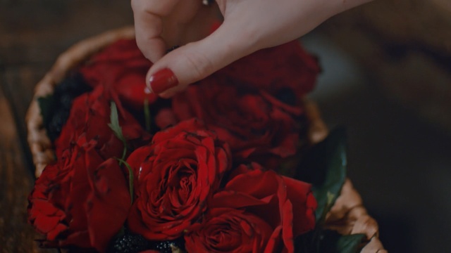 Video Reference: flower, rose, red, rose family, garden roses, plant, flowering plant, rose order, petal, flora