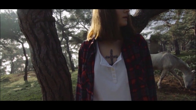 Video Reference: Hair, Nature, Photograph, Clothing, Tree, Natural environment, Beauty, Outerwear, Woodland, Long hair