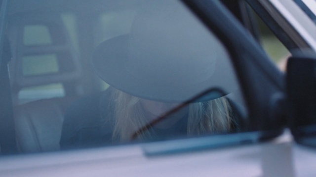 Video Reference: Vehicle door, Automotive exterior, Windshield, Glass, Auto part, Automotive window part, Car, Vehicle, Windscreen wiper, Rear-view mirror