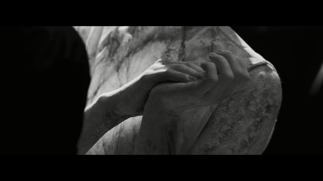 Video Reference: black, stone carving, black and white, photograph, monochrome photography, classical sculpture, hand, photography, head, trunk