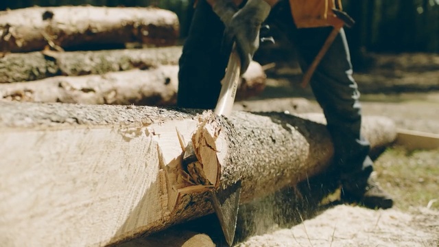 Video Reference: Wood, Tree, Wood chopping, Shoe, Person