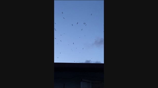 Video Reference: Sky, Blue, Cloud, Architecture, Atmosphere, Line, Tree, Space, Night, Meteorological phenomenon