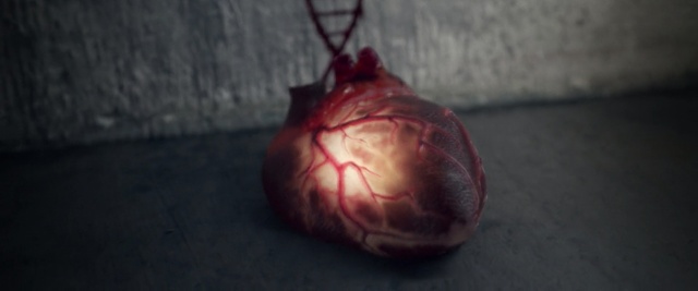 Video Reference: organ, human body, flesh, still life photography, organism, blood, heart, Person