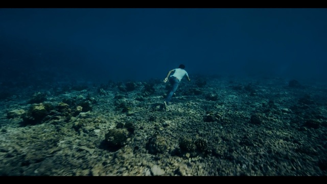 Video Reference: underwater, ecosystem, reef, marine biology, sea, atmosphere, coral reef, screenshot, organism, ocean